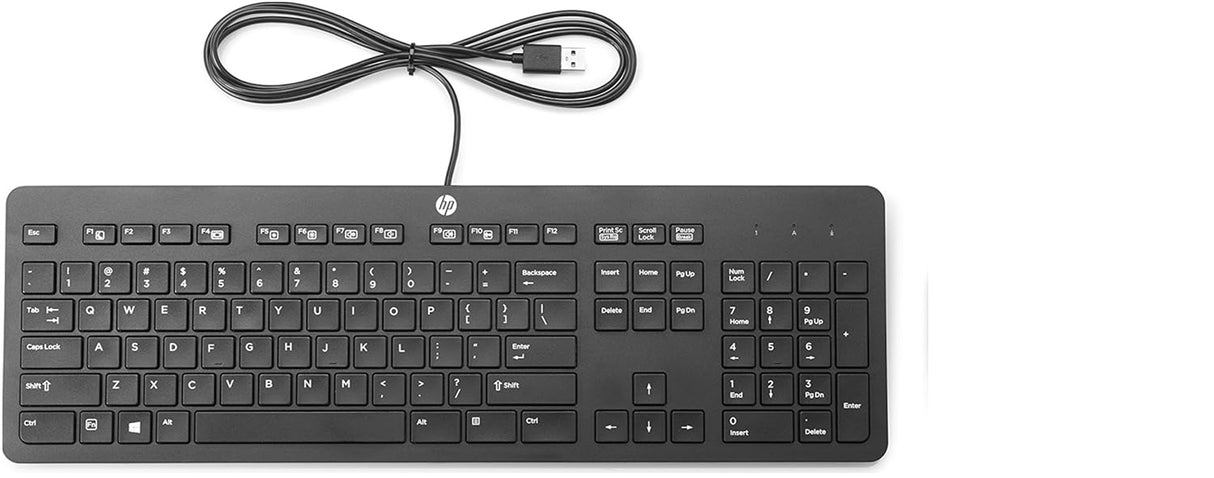 HP Slim Keyboard USB, Schwarz, Layout UK/Englisch