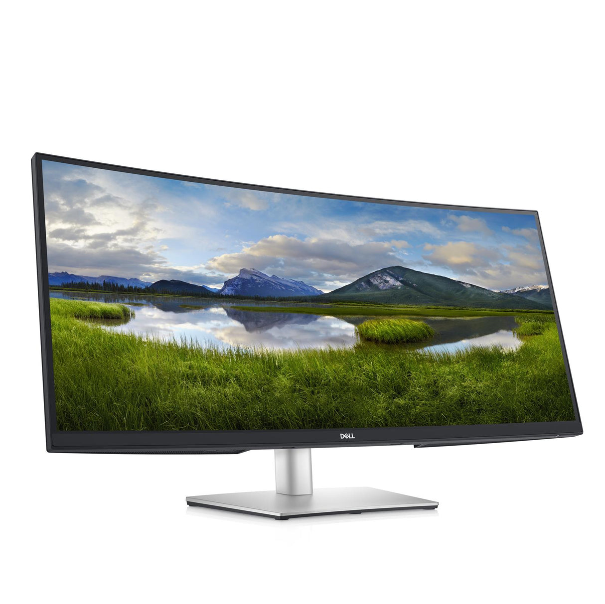 Dell P Series 34 Curved Monitor USB-C 34 inch P3421W 21:9 8ms LCD/LED 60hz VESA